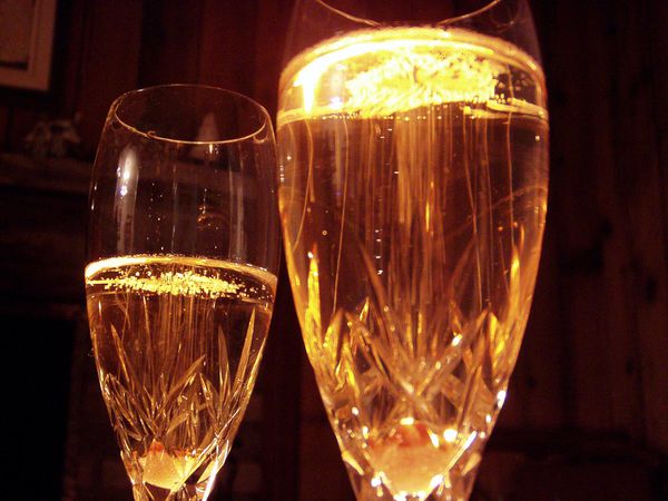 Champagner Cocktail – Koch-Wiki