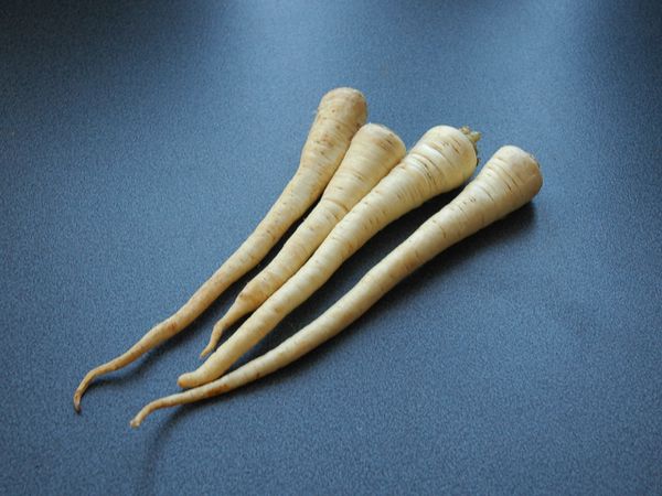 ZutatWurzelpetersilie KochWiki