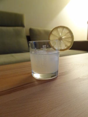 Wodka Sling