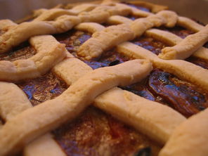 Crostata mit Champignons