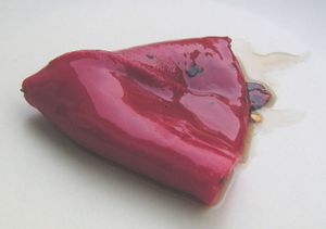 Pimientos de piquillo