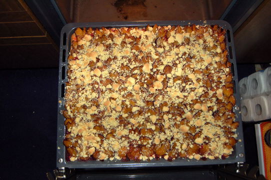 Kategorie:Pflaumenkuchen – Koch-Wiki