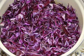 Frisch geschnittener Rotkohl