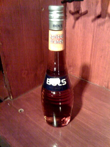 Datei:Bols ApricotBrandy.jpg