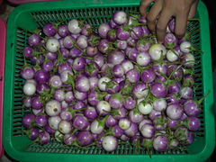 Thai-aubergine.jpg