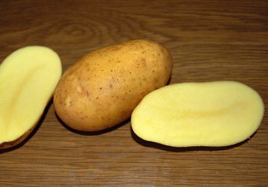 kategorie-vorwiegend-festkochend-koch-wiki