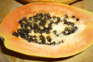 Papaya