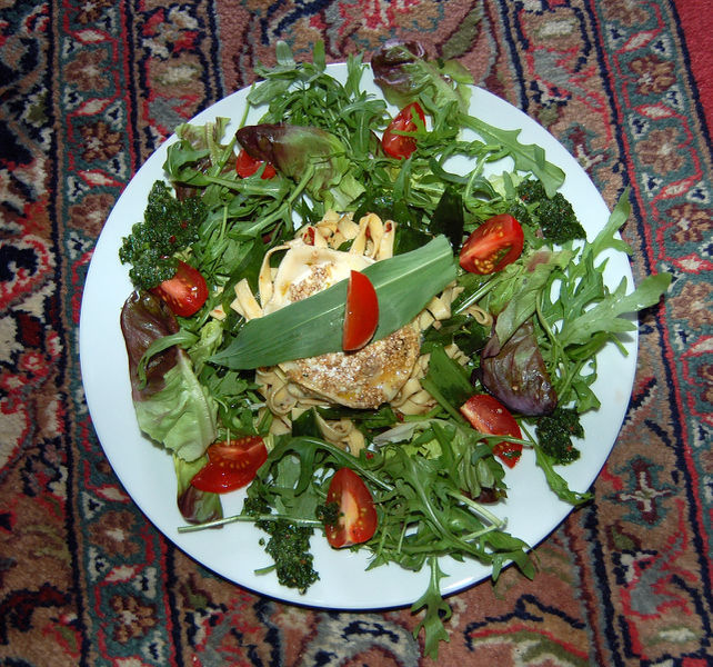 Datei:NudelsalatZiegenkäseTeller.jpg