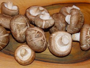 Shiitake