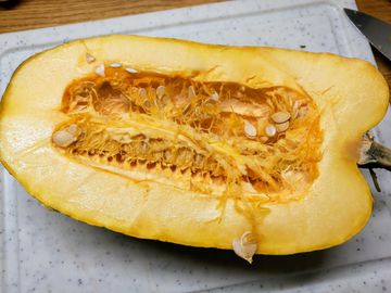 zutat-spaghetti-k-rbis-koch-wiki