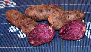 Blaufleischige Kartoffelsorten