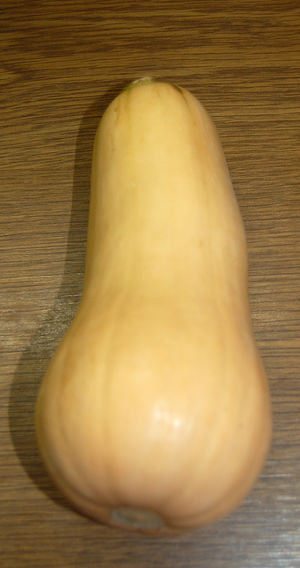 Butternut-Kürbis