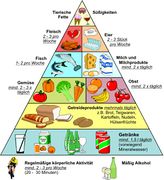 Ernährungs Pyramide.jpg
