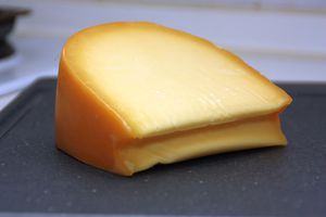 Gouda