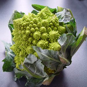 Romanesco