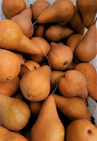 Datei:BoscPears.jpg