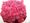 Himbeeren.jpg