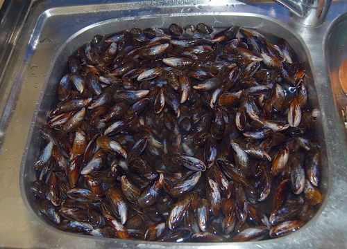 Muscheln mit Weißwein und Sahne – Koch-Wiki