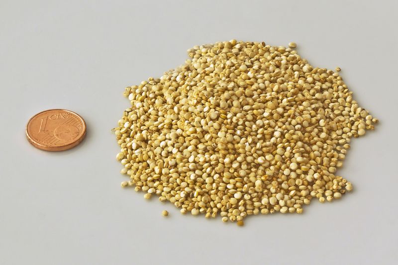 Datei:Quinoa + Cent.jpg