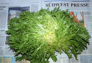 Frisée