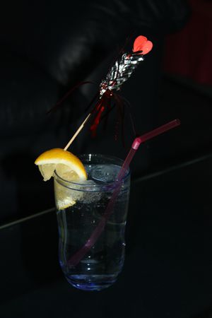 Wodka Tonic