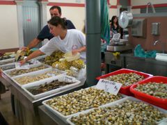 Muschelverkaufsstand in einem Supermarkt an der Algarve