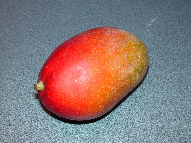 Datei:Mango.jpg